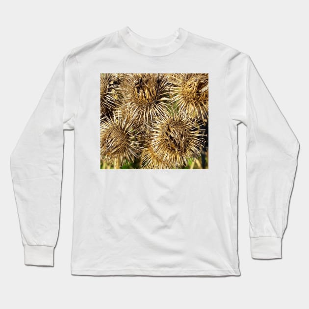 Thistle Long Sleeve T-Shirt by robelf